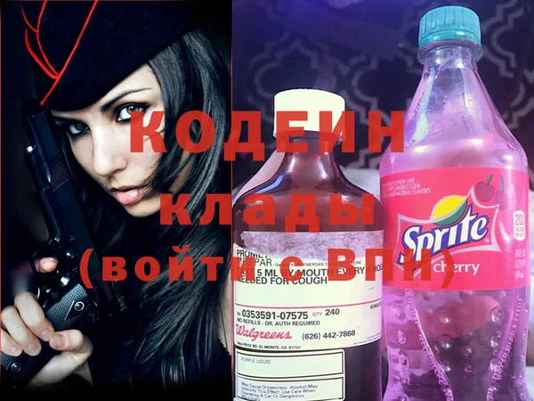 прущие грибы Тавда