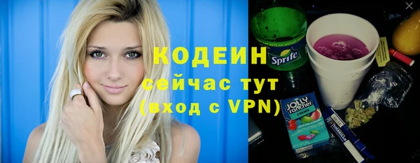молекула духа Сясьстрой