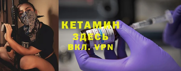 прущие грибы Тавда