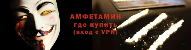 ГАЛЛЮЦИНОГЕННЫЕ ГРИБЫ Заволжье