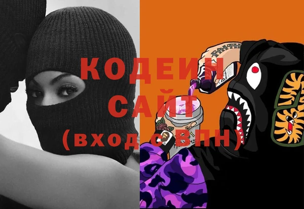 прущие грибы Тавда