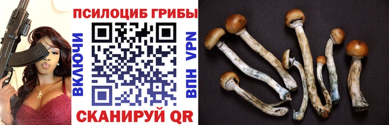 Галлюциногенные грибы Cubensis  Карталы 
